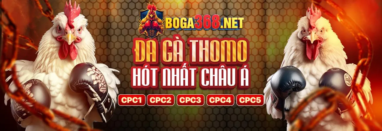 Chương trình VIP 104nk88