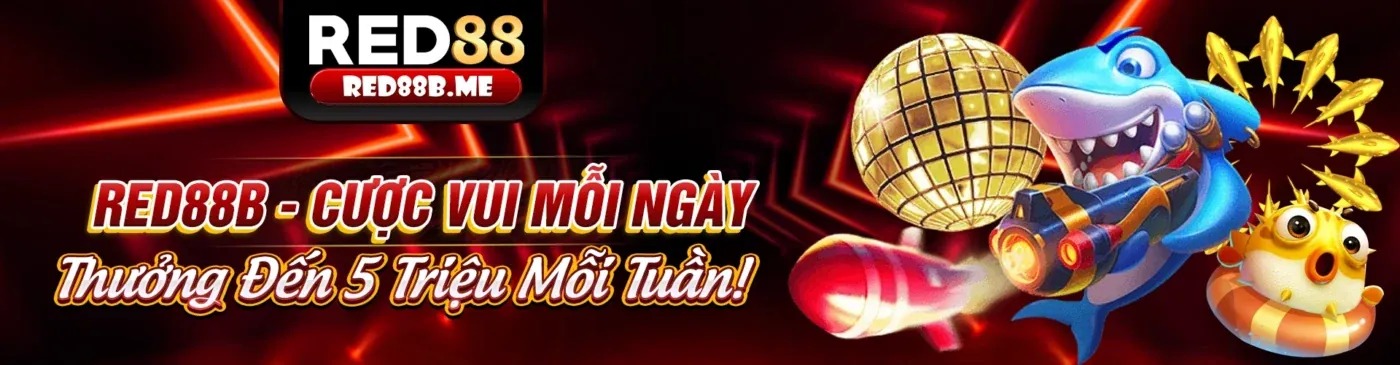 Tham gia 104nk88 ngay