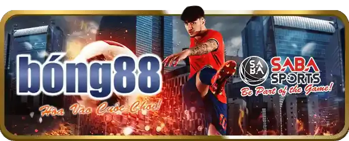 Trải nghiệm ứng dụng di động 104nk88